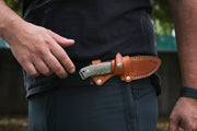 LIONSTEEL M2M G10